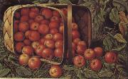 Country Apples Levi Wells Prentice